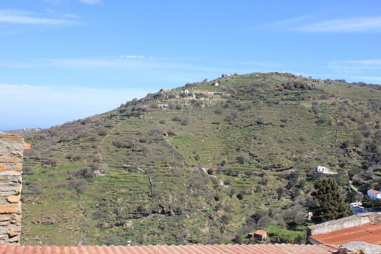 Villa Persephone Ioulis Esterno foto